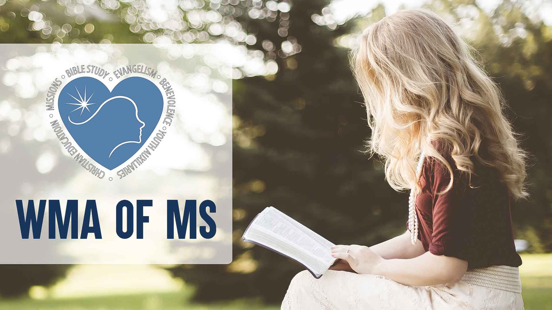 Immerse Mississippi | WMA Of Mississippi